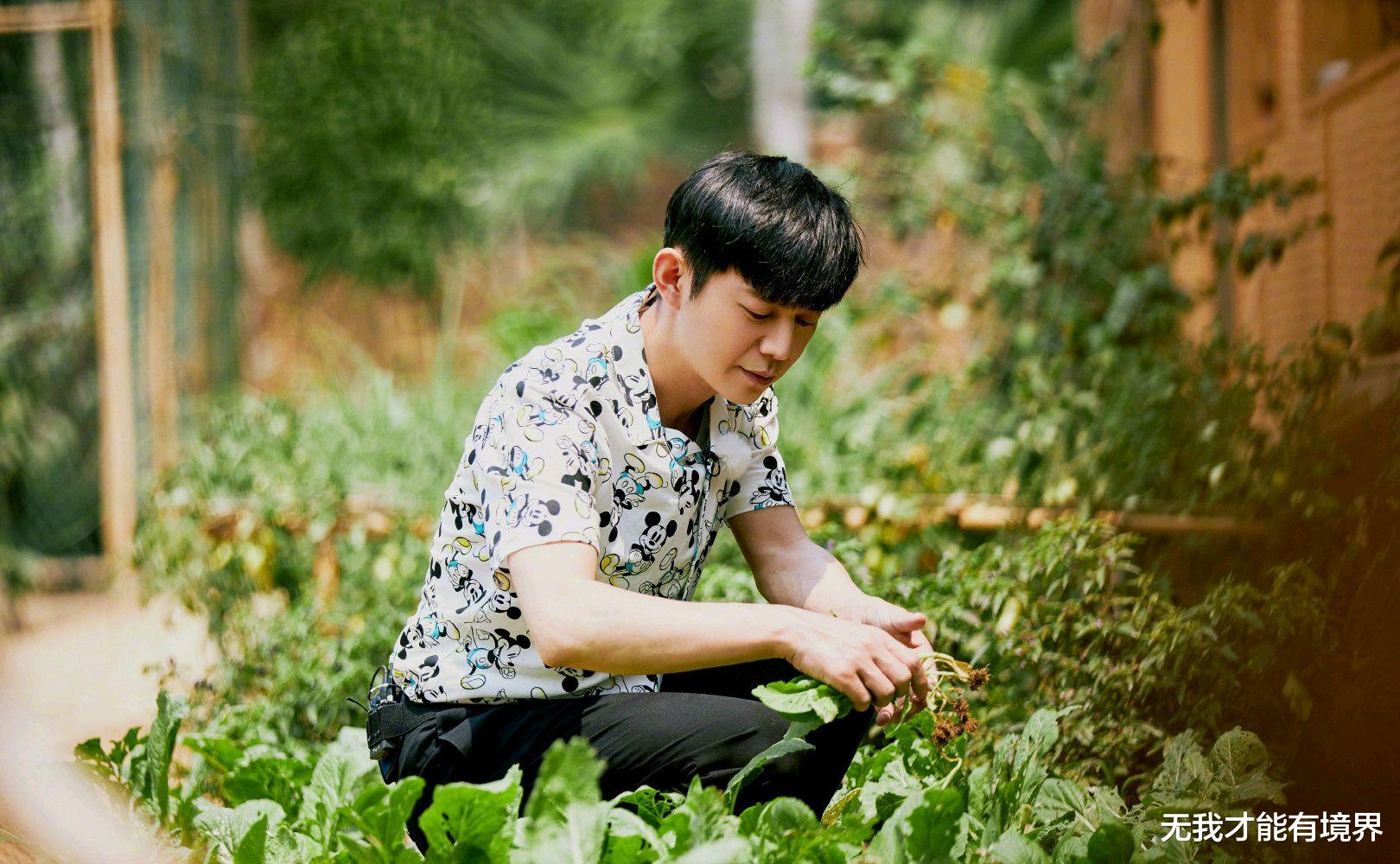 刘宪华|《向往的生活5》嘉宾名单等细节疑似曝光，刘宪华回归希望渺茫