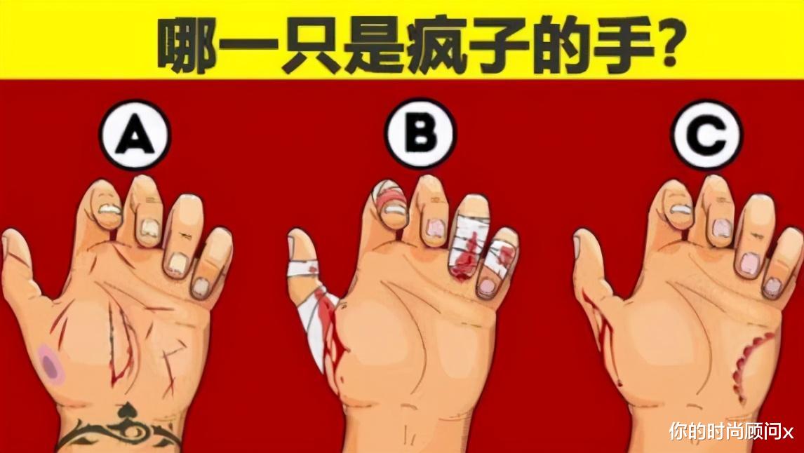 鳄鱼|“到底是鳄鱼出了轨，还是鲶鱼劈了腿，”哈哈哈钓上来了什么？