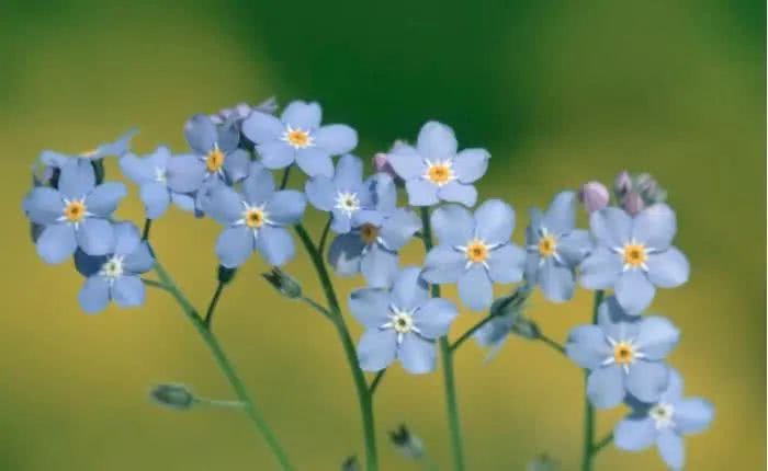 [运势]6月中旬开始有贵人登门，运势旺盛，日子富平安的4大生肖