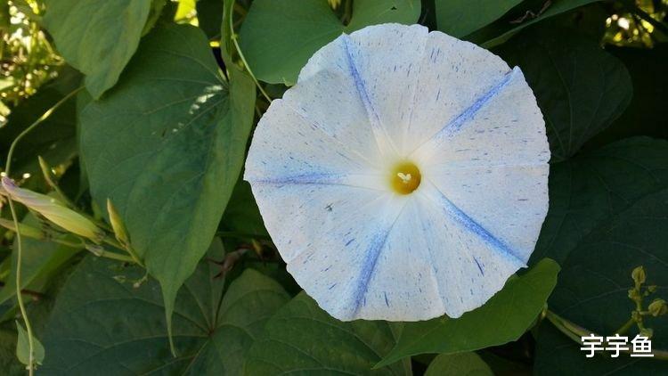 旧爱|9月开始横财进门，前程无限光明，轻松逆袭的四大属相