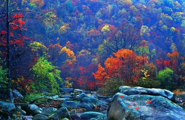 自驾|全国最早一波秋色来了！这6条自驾路线，9、10月美成天堂