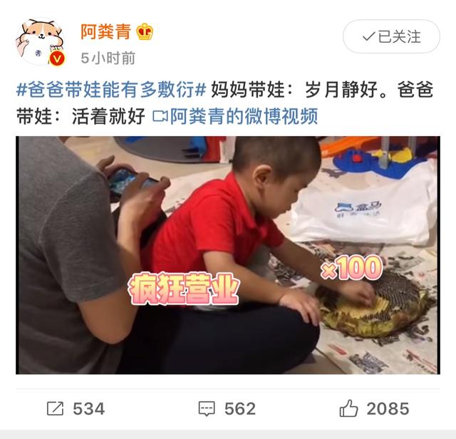 荷花|老舍同款\酥炸荷花\！ 盒马时令鲜花被网友吃出名场面