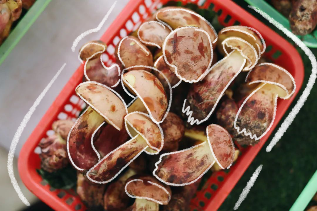 云南|我去了趟云南，当地人给我炖了一锅毒菌子