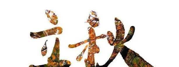 立秋|立秋后钓鱼，钓深还是浅？老钓友这么选深浅都有鱼！