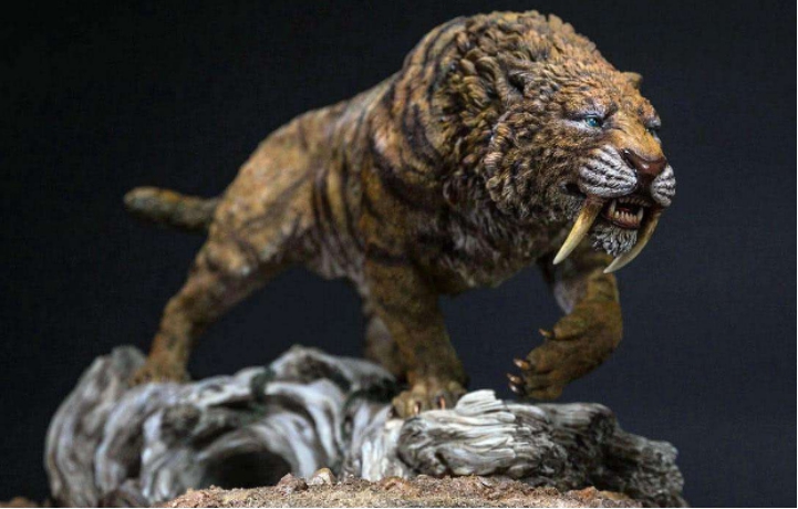 剑齿虎|人类为何没有天敌?研究者给出答案,让人意外