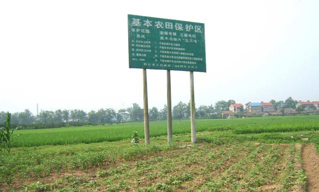 浙江省|有钱就能为所欲为？不可能！侵占基本农田的猪场被查了