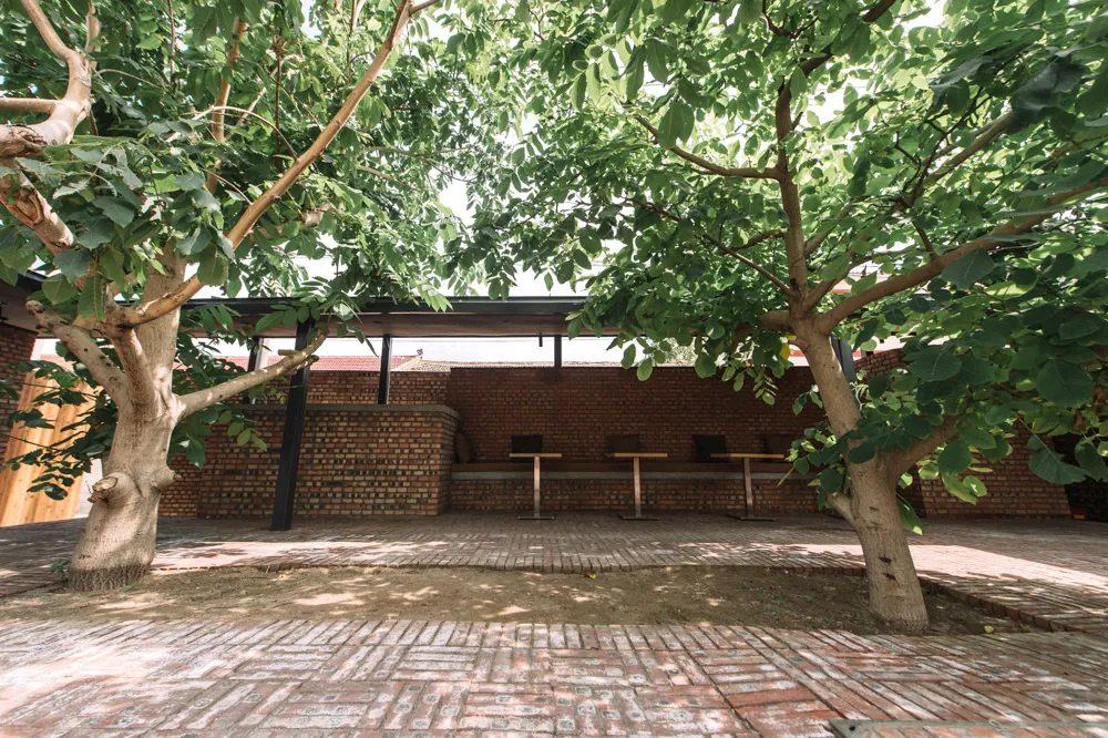 莫兰迪|亢院 | 一方小院，两颗核桃树，在学霸设计师的院子里，来一场亢奋的狂欢