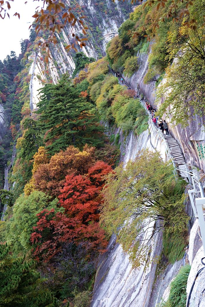 华山|华山有多美有多险？亲自去爬一次就知道了！