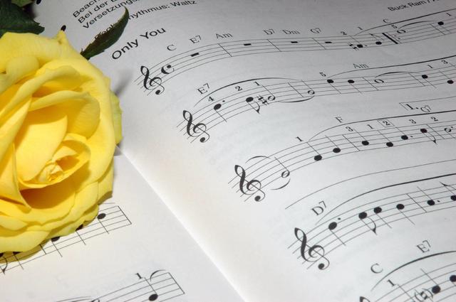 『』音乐会守护你的回忆