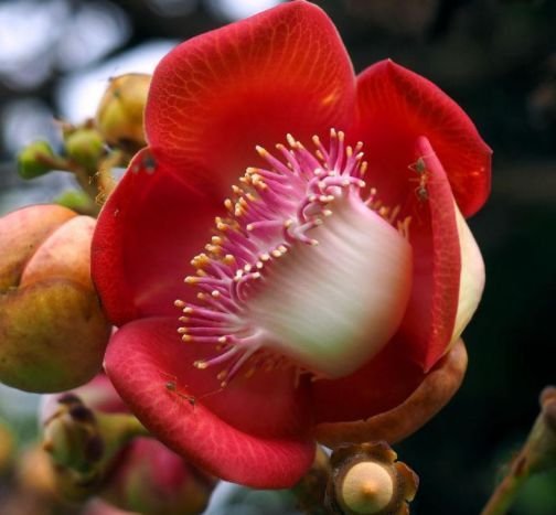 生肖|10月“日子红火”腾腾起，发财发福又发家！喜鹊叫，好事到的生肖！