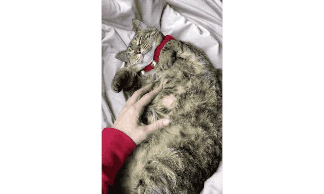 休息一下，享受这些可爱的瞬间