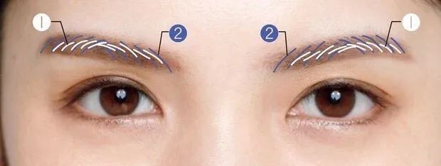 眉粉|画了那么多年眉毛，这3个知识点最近才知道