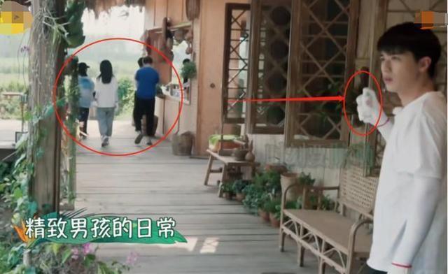 「the nine」《向往的生活》缺少劳动尽是享受,喝奶当喝水,平凡人消费不起