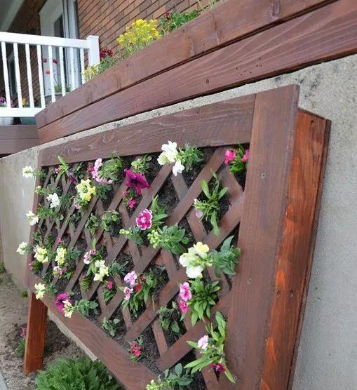 「多肉植物」7个非常棒的庭院园艺创意，让你的养花生活更加精彩