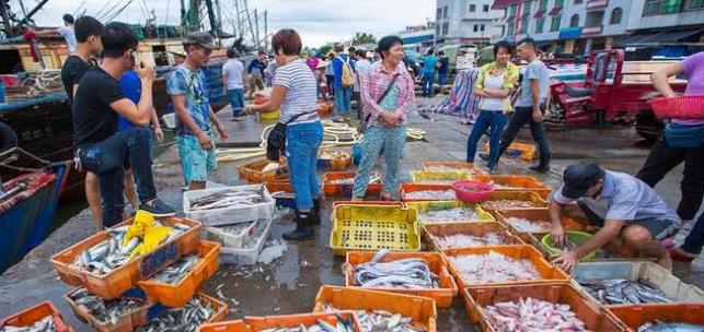 旅行|国内“最低调”的海滨城市，景色不输三亚，海鲜却便宜百倍
