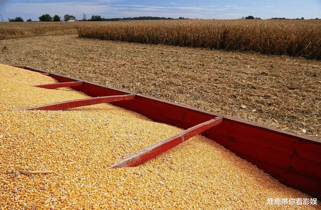 哈萨克斯坦|得知中国不缺粮食,哈萨克斯坦态度大变,恢复对华粮食出口