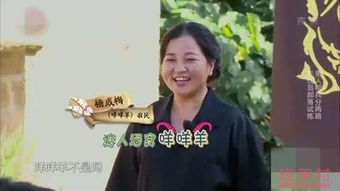 【极限挑战】咩咩羊极限挑战哪两期 杨成梅阿姨个人资料以及现状曝光