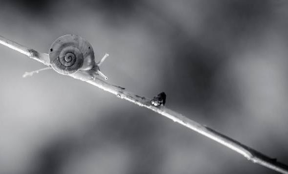 天蝎座@遇到事最冷静的三大星座，尤其第二名，深藏不露