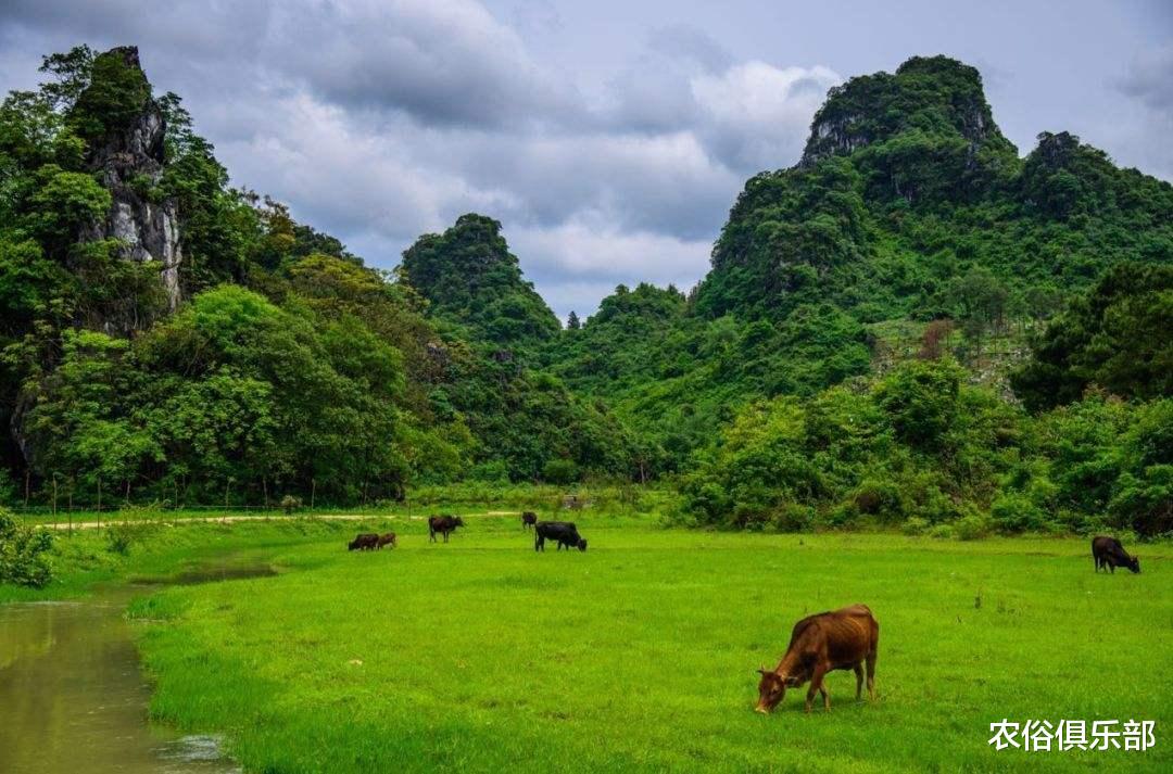 农俗俱乐部|除秸秆不让焚烧，这3件农民以前爱干的事也被禁止，真有必要禁？