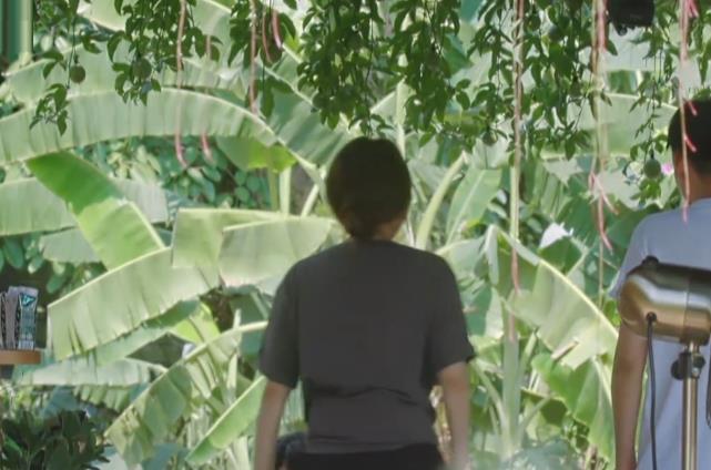 「吴昕」快乐家族合体现身《向往的生活》，吴昕透露谢娜最有排面，很真实