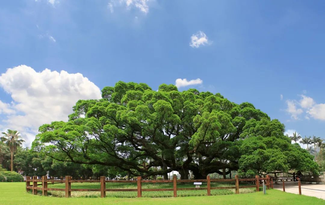 西充快报|10月25日起,南充高坪机场再添新航线!