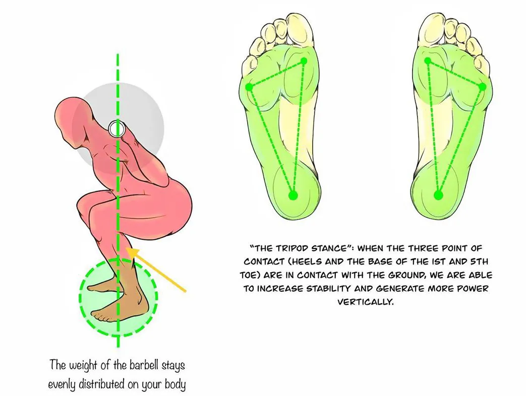 深蹲|男女都该多练的深蹲，你真的会练么？