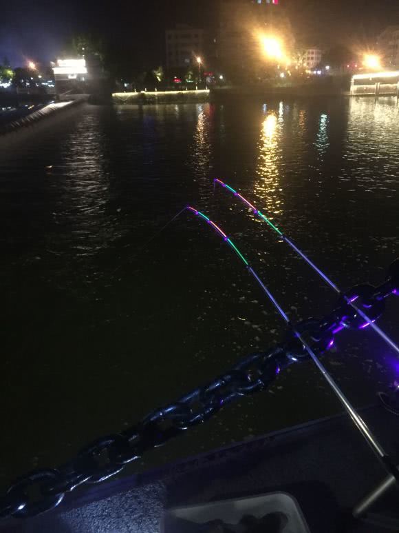 「浙江省」浙江河道黄颡鱼大爆发,夜晚成群结队岸边游荡,钓鱼人:鱼饵不够吃