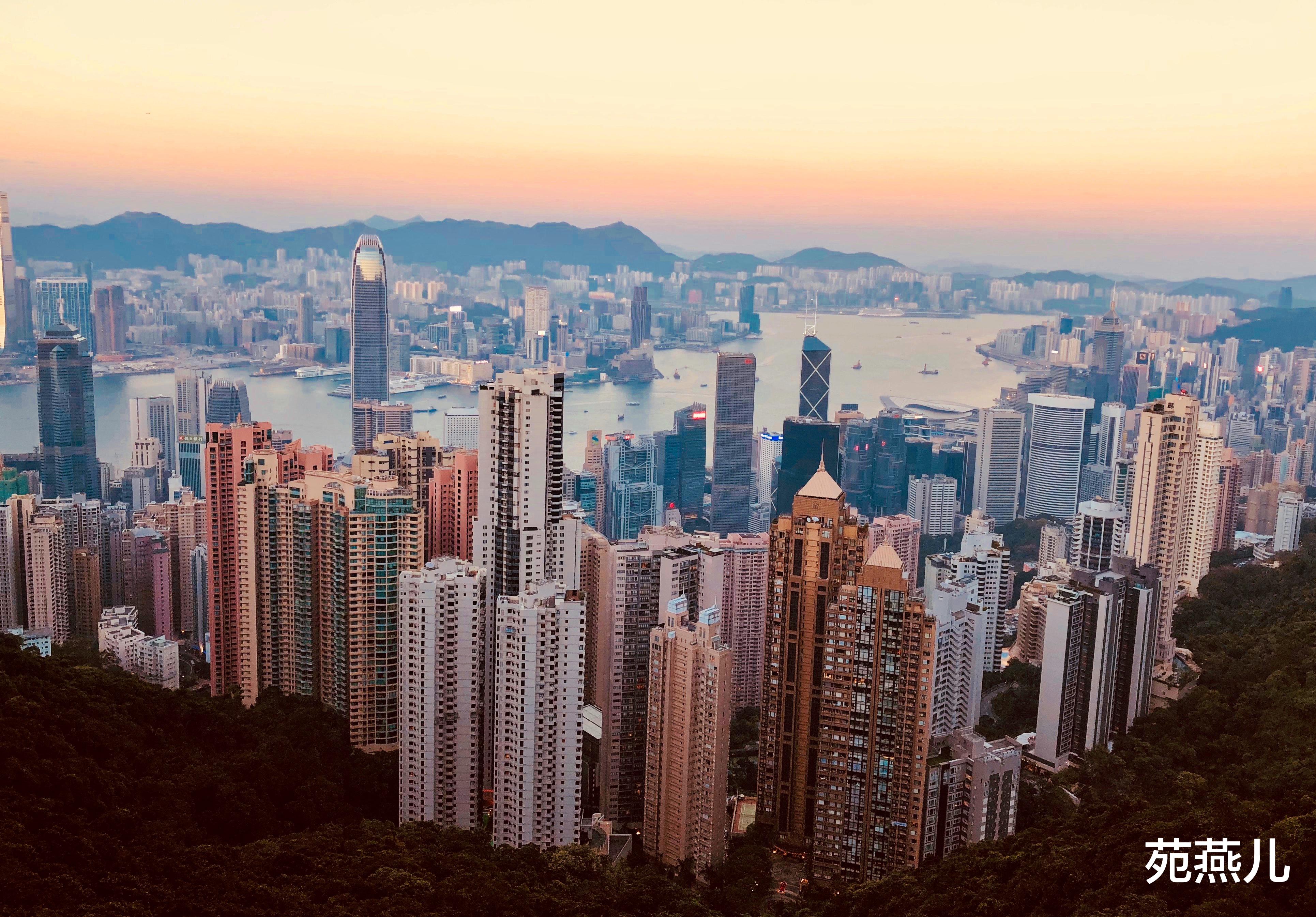 苑燕儿|小伙每天加班最后走只为撸公司羊毛被辞退：贪小便宜付出的会更多