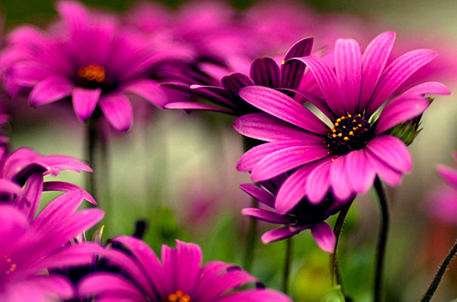 天蝎座▲端午节后，运势上扬，好事频传的三个星座