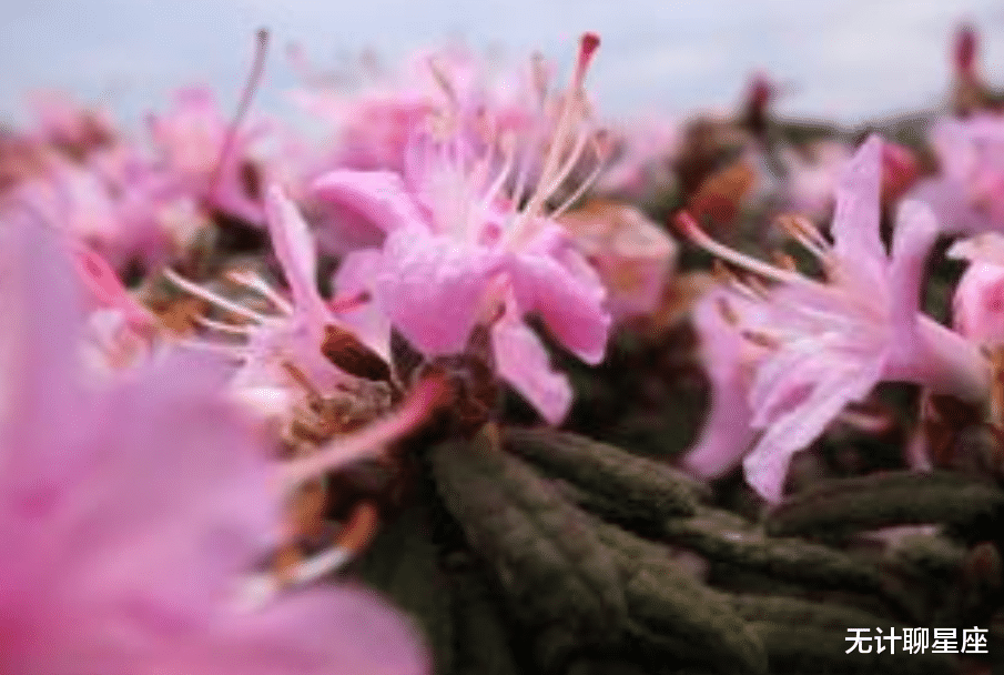 |隐藏最深的4个星座，善于伪装情绪，不会让你看到心底的真实