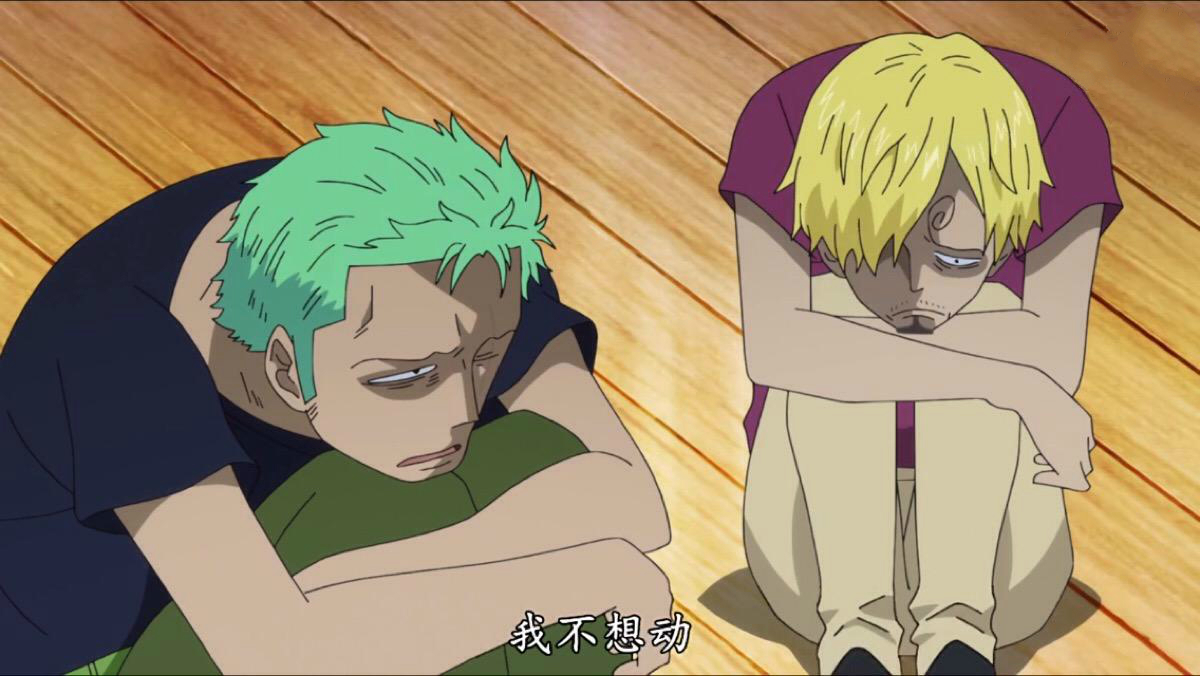 和之国篇后索隆悬赏金将是山治的三倍