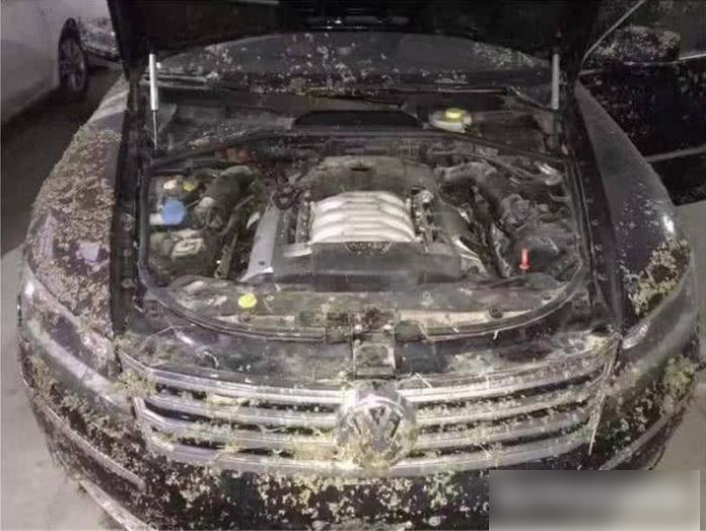 「大众辉腾」小伙15万买泡水辉腾，维修工检查后：这车你修不起，30万卖我