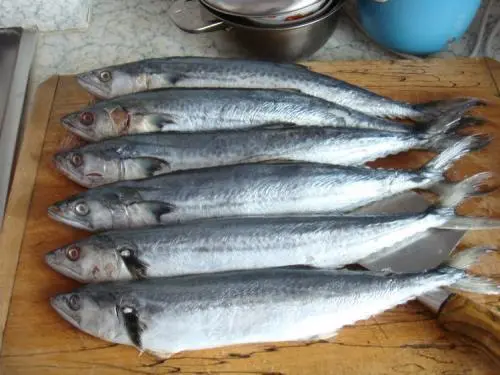 ：买鲅鱼时，遇到这5种赶紧掉头就走，海鲜老板也从不让家里人吃！