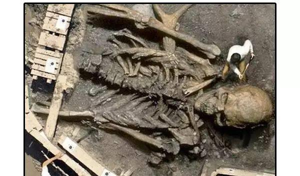 化石|网络上有时会看见巨人的骨骼照片，地球上真的出现过巨人吗？