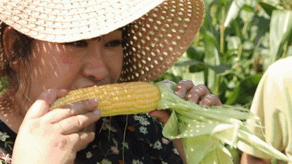 「小龙虾」煮玉米只放清水就错了，多加这2样东西，玉米香甜更软糯，收藏了