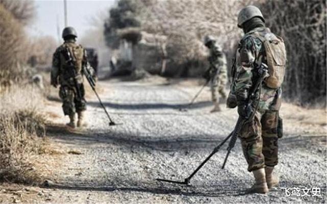 非洲|二战后全球埋有1亿颗地雷,排雷本需4千年,却被一动物轻松解决了