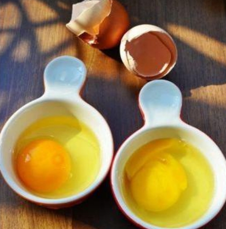 鸡蛋|继人造肉后，“人造蛋”开始出现，该如何分辨？其实并不难