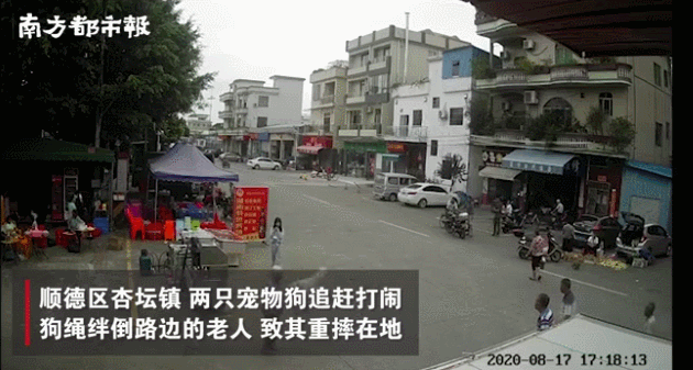 天眼新闻|视频疯传！广东一老人被狗绳拽倒，重摔身亡！更多细节披露
