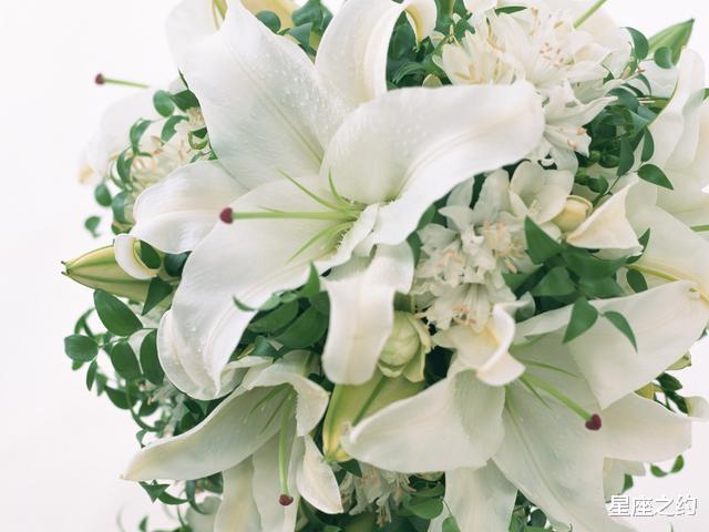 『属鸡』5月30日星座运势：白羊脚踏实地，狮子洞察力强，水瓶突破瓶颈