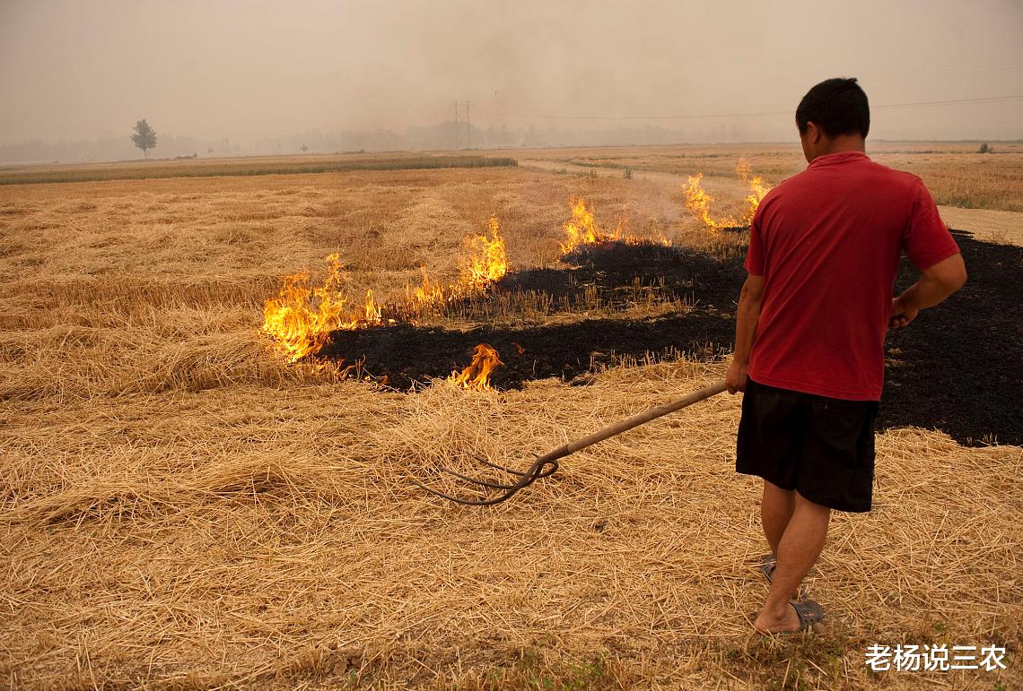 秸秆|村干部突然接到2个紧急通知,这次严查整顿升级,希望没有你家!