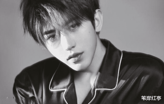 #肖战#肖战单曲销售额反超周杰伦，粉丝再度引群嘲，华晨宇并不孤独？