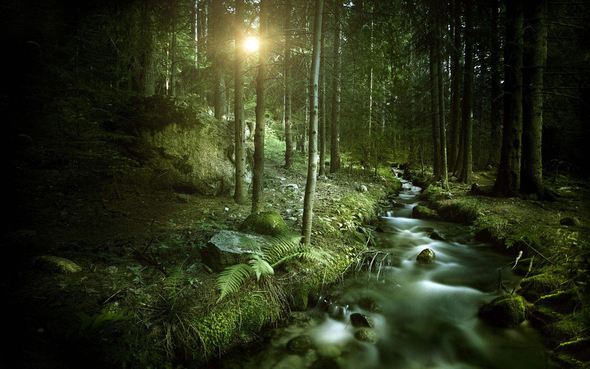 响尾蛇|蛇有哪些弱点？它们的寿命一般有多长？