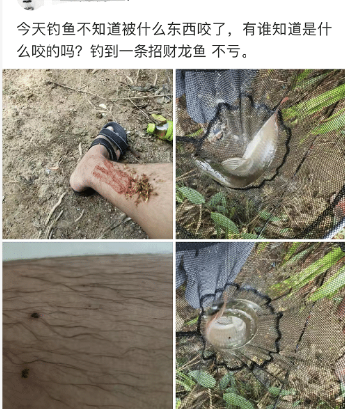 『』“趁爷爷睡着，将茶杯刷的干干净净...”哈哈哈这么乖的孩子先打一顿吧！