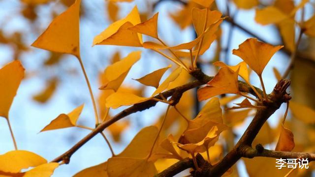 管住自己的嘴，千万不要说这样的话！