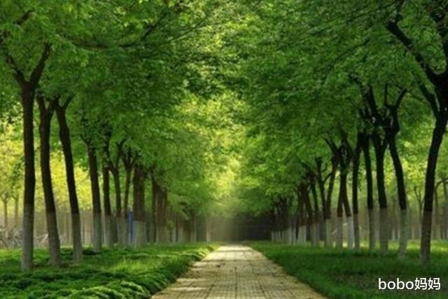 野鸡大学|女儿被985录取,却被亲戚嘲笑成上“野鸡大学”,网友:真无知