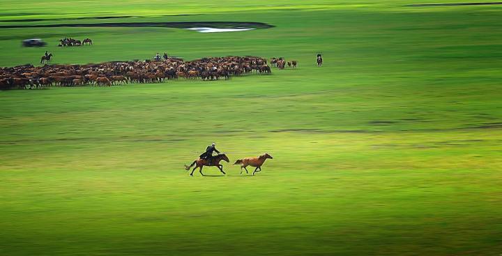 「自驾」七八月自驾避暑不可错过的12个好去处, 总有几个适合你！