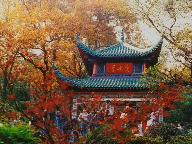 长沙发布|深情告白祖国！长沙连续登上央视，超燃！