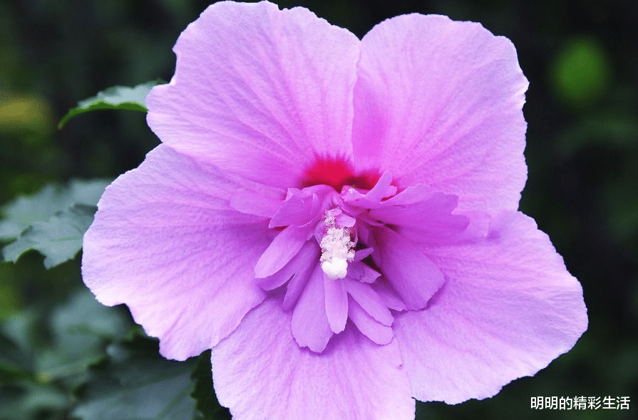 「霉运」今天开始行好运，日子喜气洋洋，不缺金钱，霉运远离的生肖男女