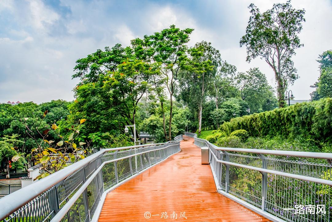 广州市|广州第一条“空中步道”，穿行在青山绿水间，走完全程大约2小时