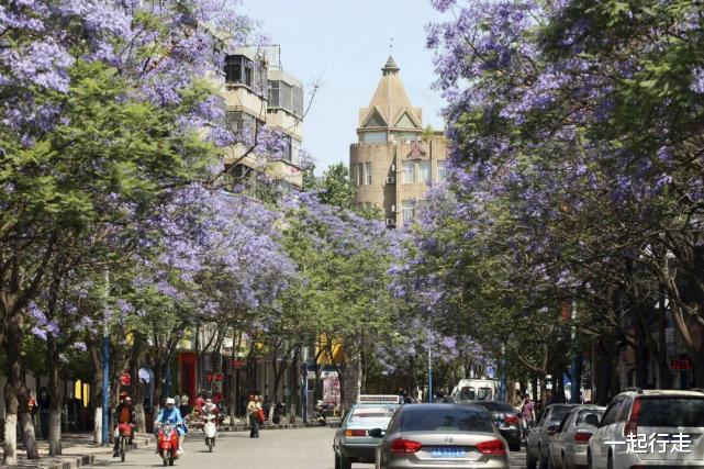 云南|中国唯一不设“B字母”车牌的省份，面积超越日本，还是旅游大省